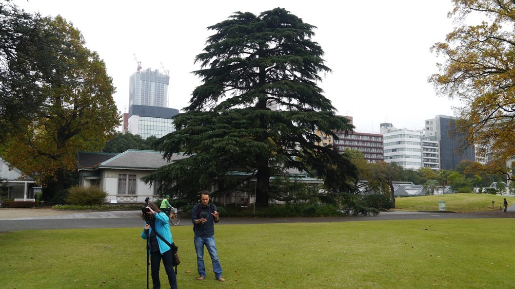 mein Kamerateam in Tokyo 2014