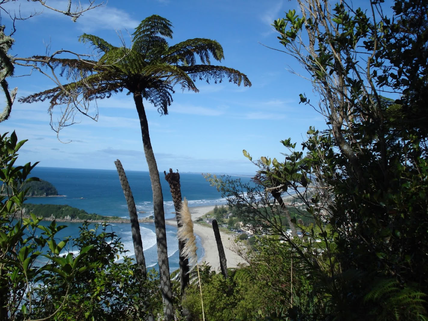 Stummfilmpianist Gerhard Gruber in NewZealand-Ausblick auf das Meer