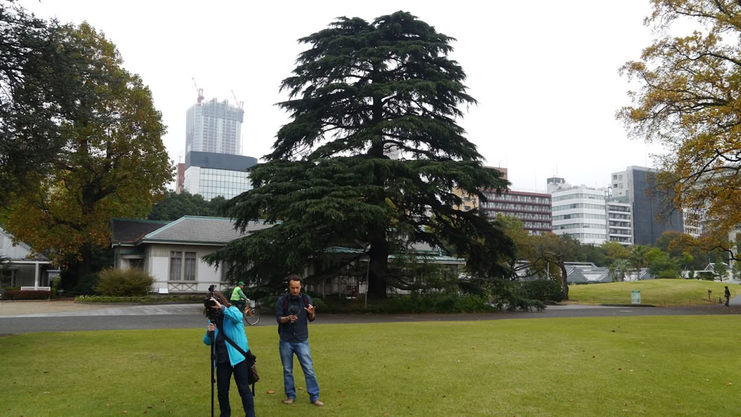 mein Kamerateam in Tokyo 2014