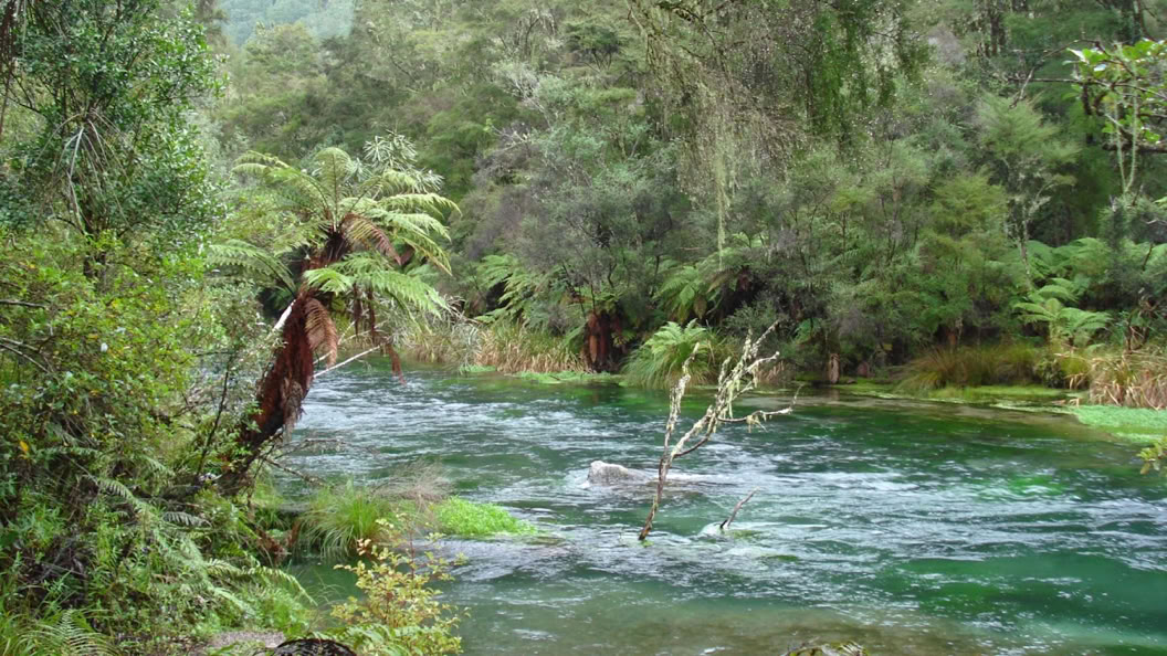 Stummfilmpiansit Gerhard Gruber am Tarawera-Fluss Neuseeland